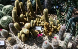 4월 서울숲 나들이~