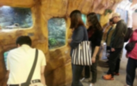 10월 여가활동으로 어린이 대공원을 갔습니다^^~