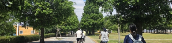 뚝섬 한강공원에 피크닉을 다녀왔습니다!